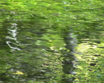 緑流れる泉